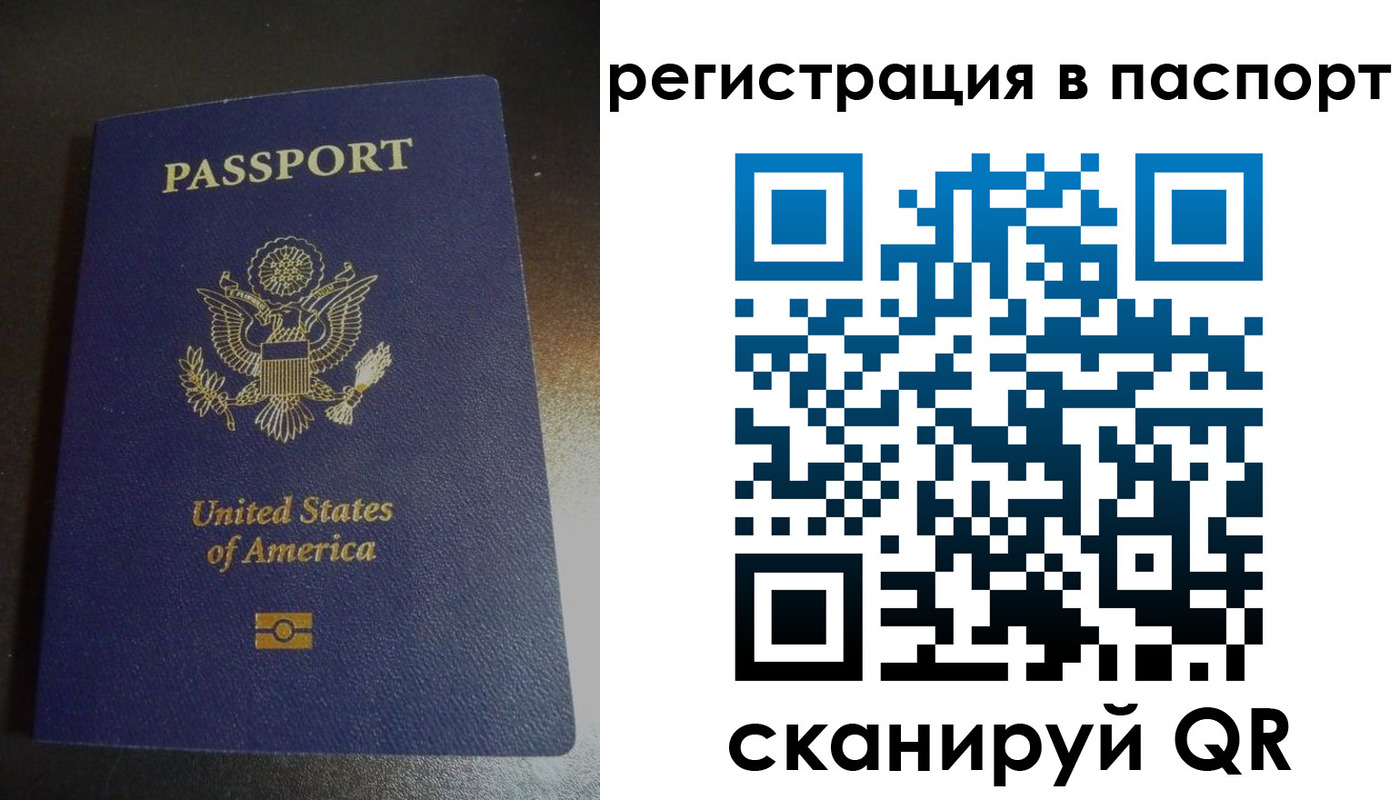 прописка для школы в Шилке